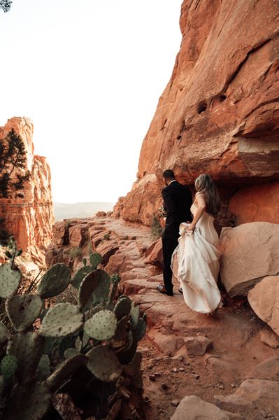 Let's Knot and Say We Did