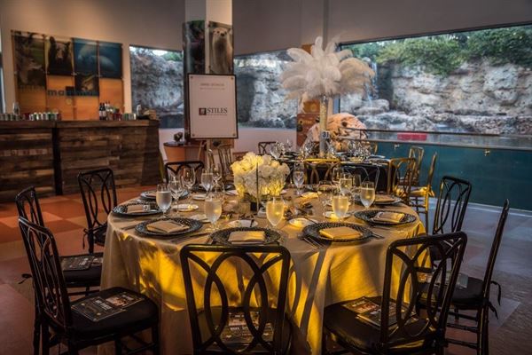 Museum of Discovery and Science