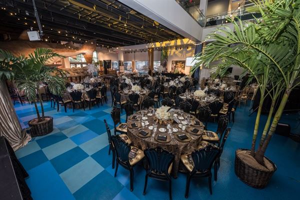 Museum of Discovery and Science