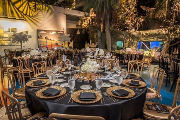 Museum of Discovery and Science