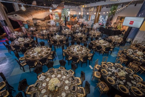 Museum of Discovery and Science