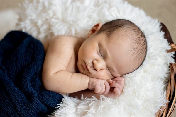 Honeycreek Photography