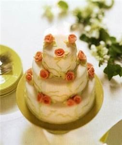 Premier Party Servers - Party Rentals