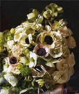 Premier Party Servers - Party Rentals