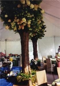 Premier Party Servers - Party Rentals