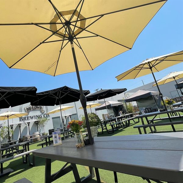 Mt. Lowe Brewing Co.