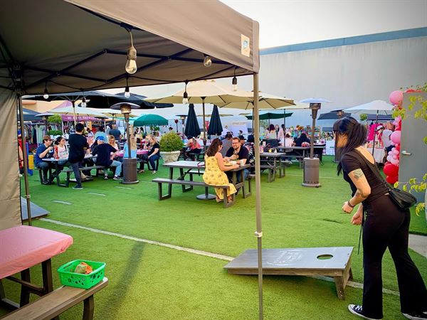 Mt. Lowe Brewing Co.