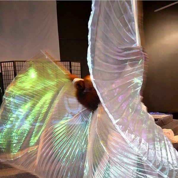 Dancing Without Limits,LLC