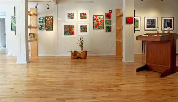Edgewater Gallery at the Falls