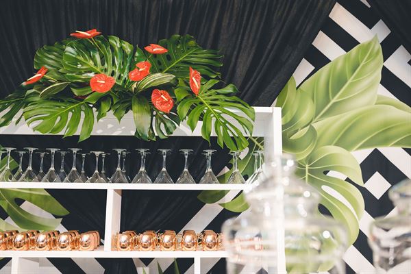 Prime Time Party and Event Rental