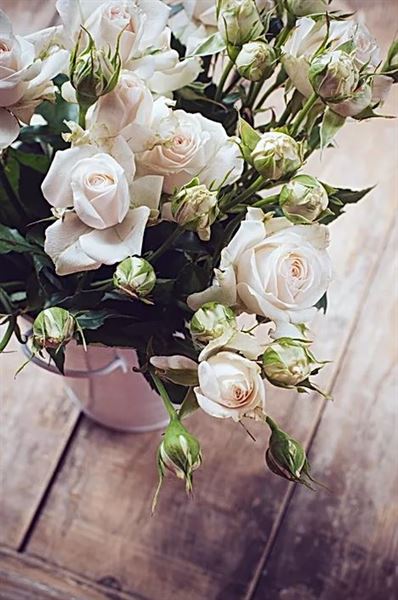 Swan Meadow Cottages