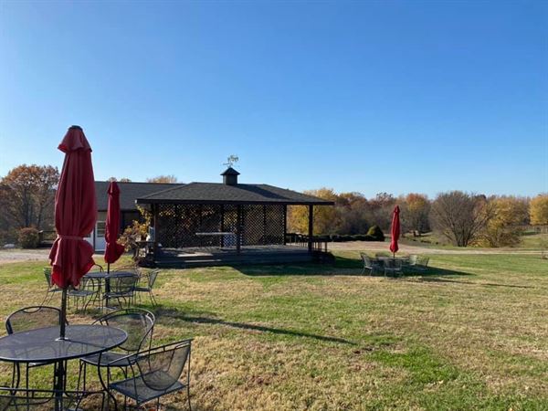 Alto Vineyards - Alto Pass