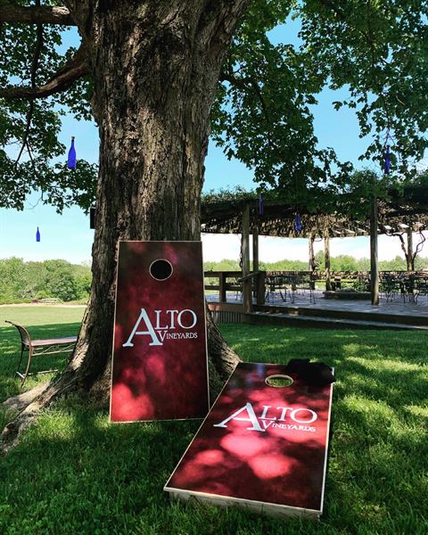 Alto Vineyards - Alto Pass