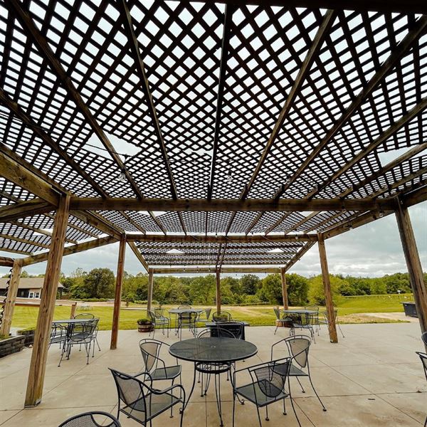 Alto Vineyards - Alto Pass