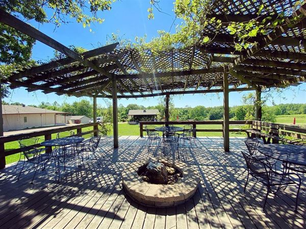 Alto Vineyards - Alto Pass