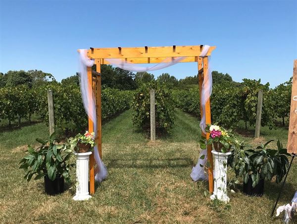 Alto Vineyards - Alto Pass