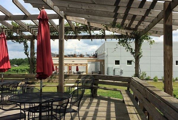 Alto Vineyards - Alto Pass