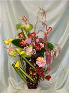 Lucy's Creative Designs Ltd.