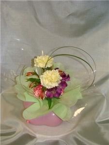 Lucy's Creative Designs Ltd.