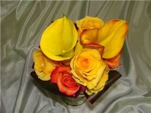 Lucy's Creative Designs Ltd.