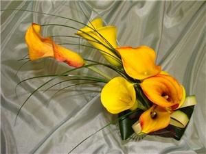 Lucy's Creative Designs Ltd.