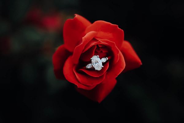 Olga Gurton Photography