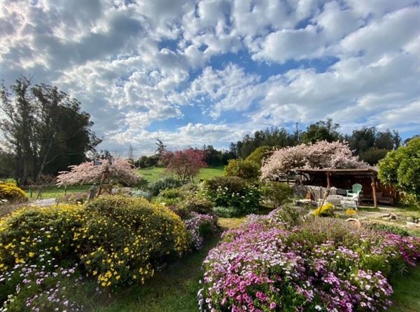 Moonglow Sonoma Ranch Retreats