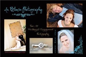 In Bloom Photography