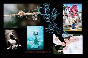 In Bloom Photography