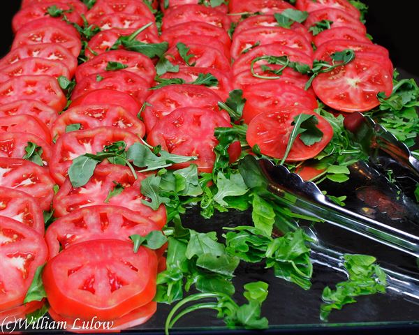 William Lulow Photography