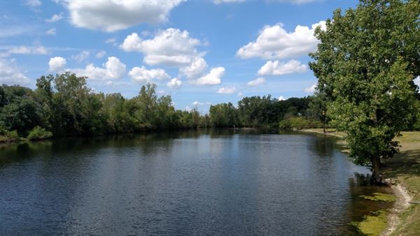 Williams On The Lake