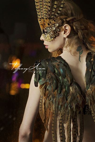 TiffaneyAnn Photography