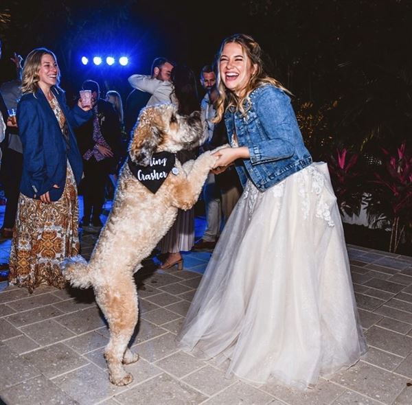 FairyTail Pet Care - Las Vegas