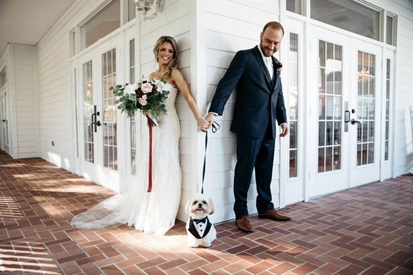 FairyTail Pet Care - Las Vegas