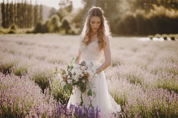 Woodinville Lavender