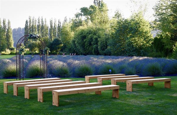 Woodinville Lavender