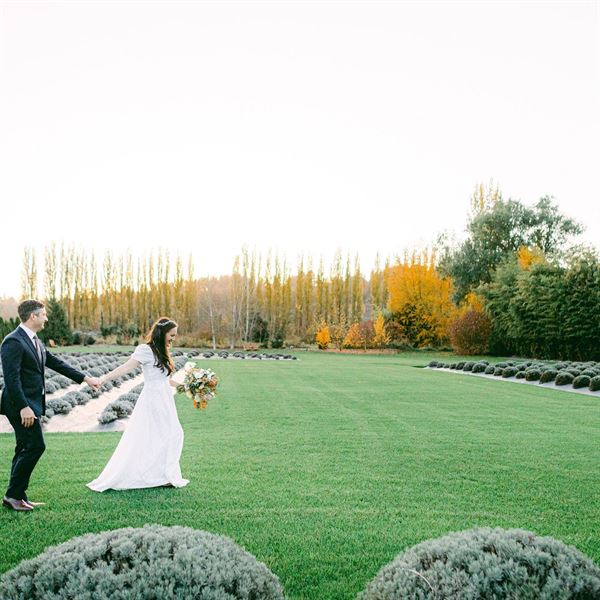 Woodinville Lavender