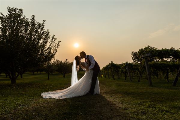 TWA Photographic Artists