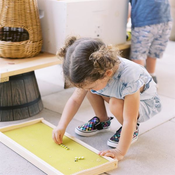 White Trail Social & Garden Club