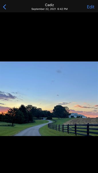 Southern Springs Events