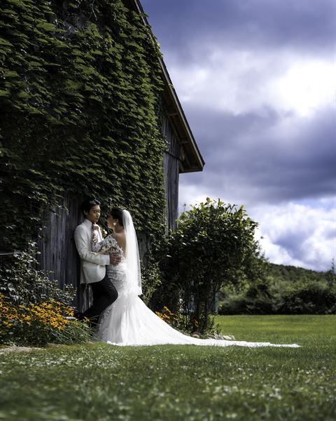 Optimum Influence Media