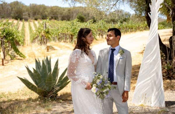 di Rosa Center for Contemporary Art