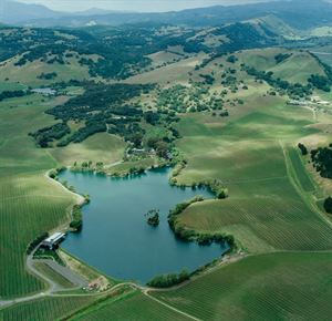 Around the Property!