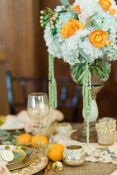 The Belle Room Designs