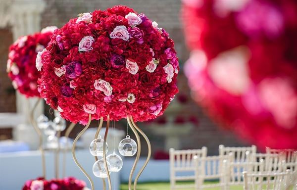 The Belle Room Designs