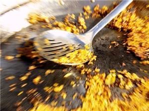 Paella Party Catering