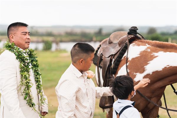 The Point at North Shore Stables
