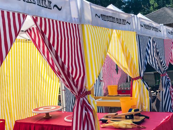 Kidsmart Carnivals and Amusement Rentals