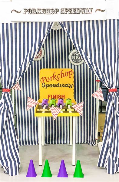 Kidsmart Carnivals and Amusement Rentals