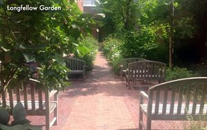 Longfellow Garden